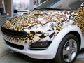 auto 034.jpg